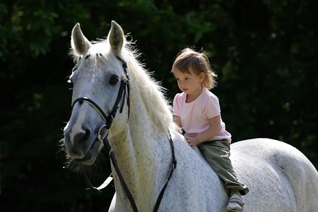 Kind Pferd 2.jpg